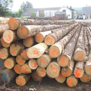 Gemischtes Hartholz-Stammholz – LKW-Lieferung – PEFC-zertifiziert — Stammholz