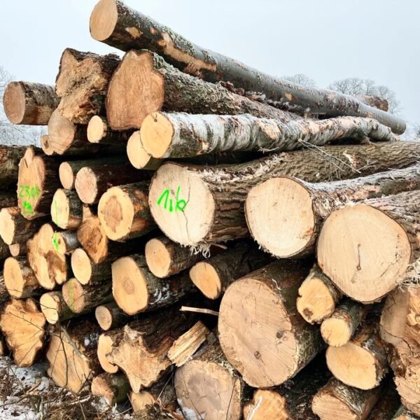 Kiefer-Stammholz – Komplette LKW-Ladung 50 Raummeter – PEFC-zertifiziert — Stammholz