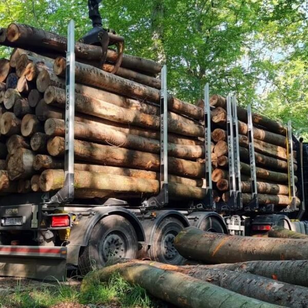 Nadelholz-Stammholz – Komplette LKW-Ladung 50 Raummeter – PEFC-zertifiziert — Stammholz